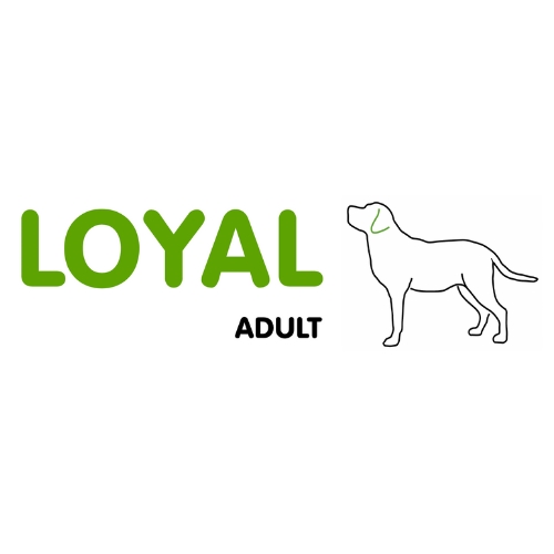 Loyal Hundefoder